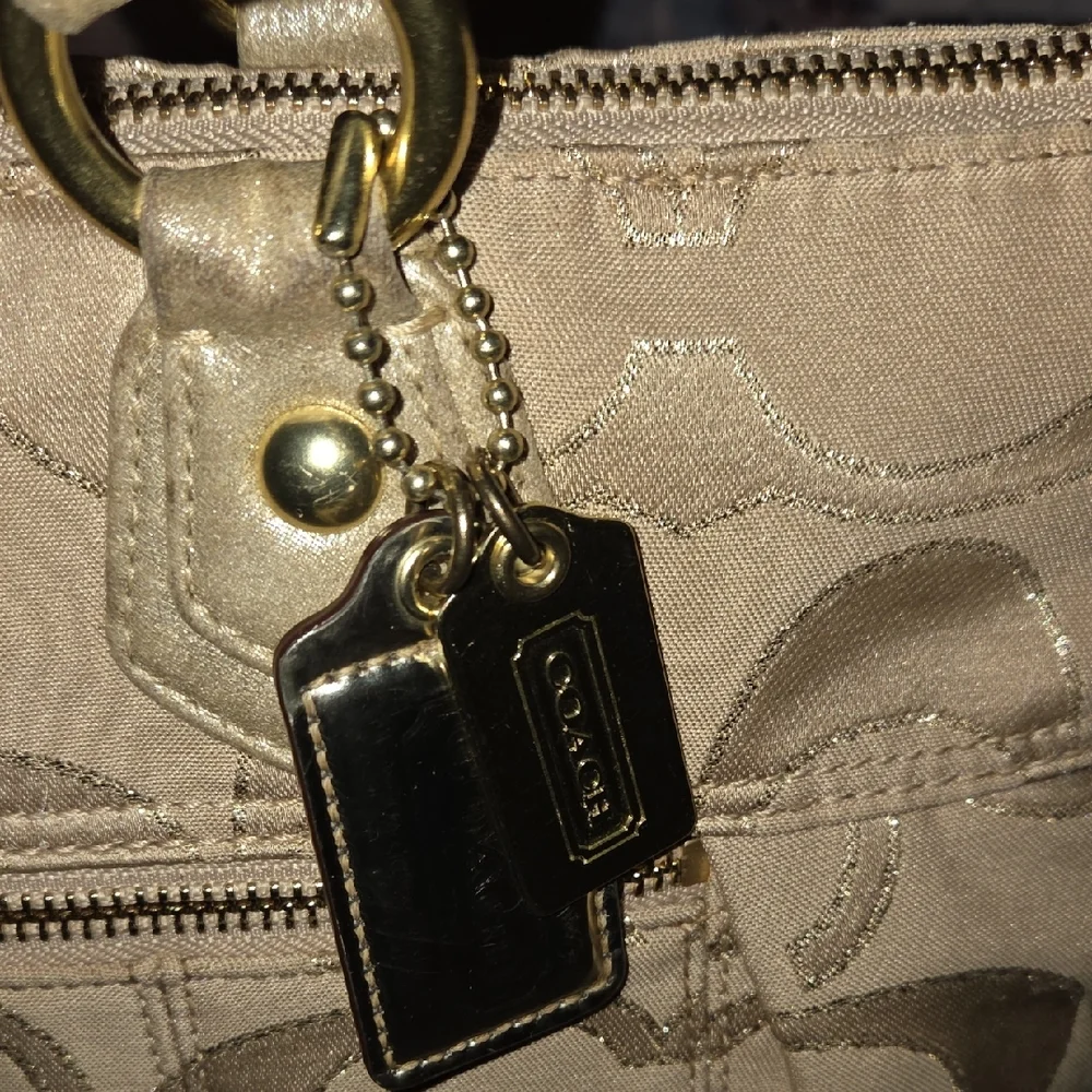 Coach Poppy Signature Tote Bag